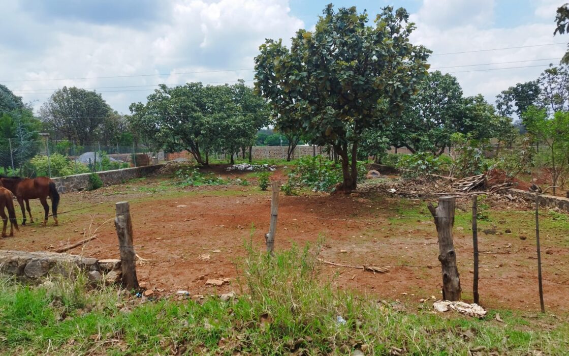 VENTA DE LOTE CAMPESTRE OJO DE AGUA DE VERDUM CERCA DE LOS ALACATES
