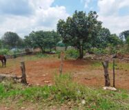 VENTA DE LOTE CAMPESTRE OJO DE AGUA DE VERDUM CERCA DE LOS ALACATES