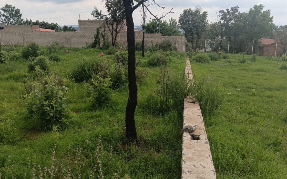 VENTA DE 2 LOTES FRACCIONAMIENTO RECIDENCIAL CAMPRESTRE PASEO DE LOS ENCINOS