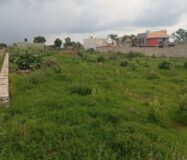 VENTA DE 2 LOTES FRACCIONAMIENTO RECIDENCIAL CAMPRESTRE PASEO DE LOS ENCINOS