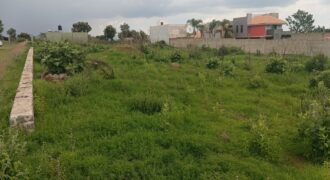 VENTA DE 2 LOTES FRACCIONAMIENTO RECIDENCIAL CAMPRESTRE PASEO DE LOS ENCINOS