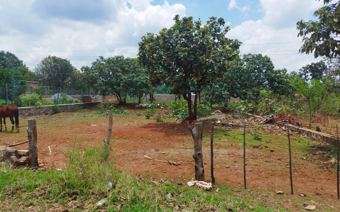 VENTA DE LOTE CAMPESTRE OJO DE AGUA DE VERDUM CERCA DE LOS ALACATES