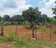 VENTA DE LOTE CAMPESTRE OJO DE AGUA DE VERDUM CERCA DE LOS ALACATES