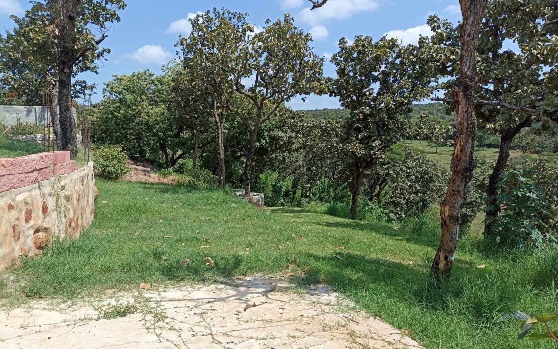 “VENTA LOTE CAMPESTRE  FRACCIONAMIENTO LOS ALACATES”