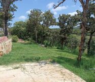 “VENTA LOTE CAMPESTRE  FRACCIONAMIENTO LOS ALACATES”