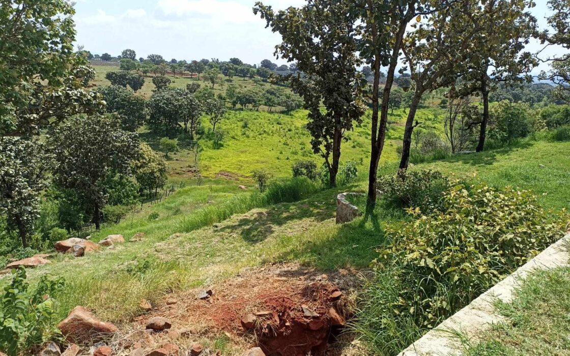 “VENTA LOTE CAMPESTRE  FRACCIONAMIENTO LOS ALACATES”