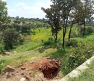 “VENTA LOTE CAMPESTRE  FRACCIONAMIENTO LOS ALACATES”