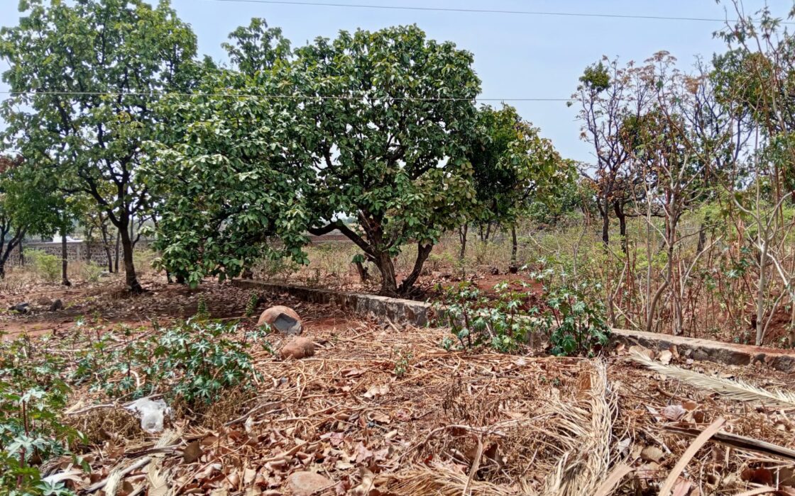 VENTA DE LOTE CAMPESTRE OJO DE AGUA DE VERDUM CERCA DE LOS ALACATES