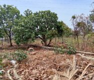 VENTA DE LOTE CAMPESTRE OJO DE AGUA DE VERDUM CERCA DE LOS ALACATES