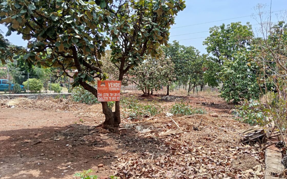 VENTA DE LOTE CAMPESTRE OJO DE AGUA DE VERDUM CERCA DE LOS ALACATES