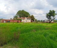 VENTA de Lote a pie de carretera a sólo 3 minutos de San José de Gracia