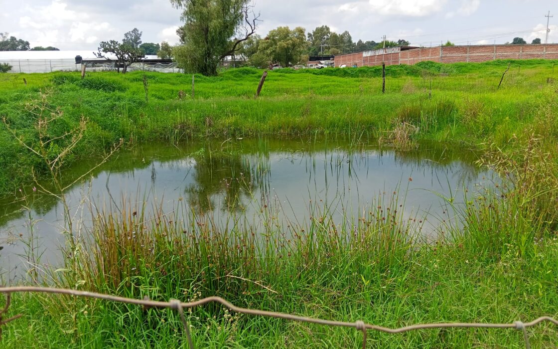 VENTA de Lote a pie de carretera a sólo 3 minutos de San José de Gracia