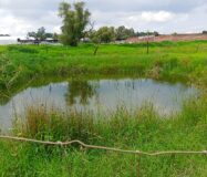 VENTA de Lote a pie de carretera a sólo 3 minutos de San José de Gracia