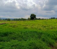 VENTA de Lote a pie de carretera a sólo 3 minutos de San José de Gracia