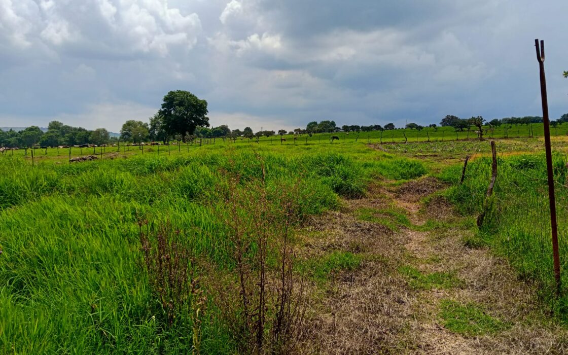 VENTA de Lote a pie de carretera a sólo 3 minutos de San José de Gracia