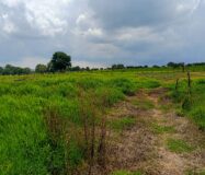 VENTA de Lote a pie de carretera a sólo 3 minutos de San José de Gracia