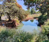 SE VENDE PROPIEDAD CERRO DE LA CAMPANA