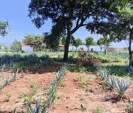 SE VENDE PROPIEDAD CERRO DE LA CAMPANA