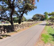 SE VENDE PROPIEDAD CERRO DE LA CAMPANA