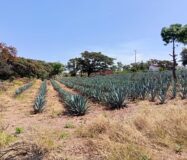 SE VENDE PROPIEDAD CERRO DE LA CAMPANA