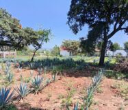 SE VENDE PROPIEDAD CERRO DE LA CAMPANA